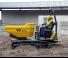 Lánctalpas dömperek Wacker Neuson DT23