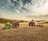 Lánctalpas traktorok Case IH AFS Connect Magnum 380 ROWTRAC