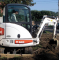 Bobcat 425