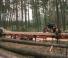 Wood-Mizer LT 40 MD 33 SDH 3-2.2