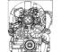 Kubota D1105T