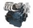 Motorok Kubota WG1605-GL-E3