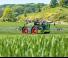 Önjáró  szántóföldi permetezők Fendt Rogator 665 