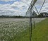 Öntözéstechnológiák Öntüzőfej árbocok Bauer Irrigation Centerstar 203E