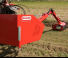 Maschio Cristina 560