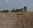 Tárcsák Agrisem Maximulch 6.00 Serie 3