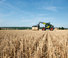 Teleszkópos rakodók Claas Scorpion 736 