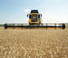 Kombájn eszközök Vágógerendák New Holland 720CG 13FT