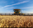 New Holland 840CD Rigid Draper