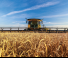 New Holland 840CD Rigid Draper