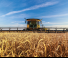New Holland 880CF SuperFlex Draper