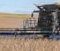 Geringhoff HV 720