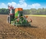 Vetőgépek Amazone Cirrus 3003 Compact TwinTeC