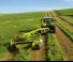 Vontatott kaszák - tárcsa és cond. Claas Disco 3200 TC Contour