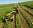 Vontatott kaszák - tárcsa és cond. Claas Disco 4000 TRC