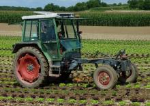 2WD traktorok Fendt F 360 GTF