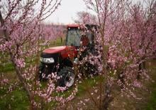 2WD traktorok Case IH Farmall 100N