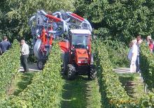 4WD traktorok Dexheimer 510 Si