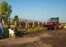 4WD traktorok Massey Ferguson MF 1765 M MP 