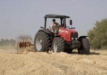 4WD traktorok Massey Ferguson MF 4455