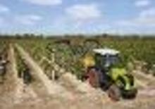4WD traktorok Claas Nexos 210 F