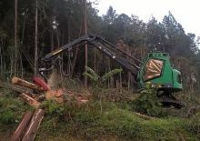 Betakartógépek Neuson Forest 183HVT