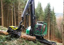 Betakartógépek Neuson Forest 243HVT