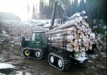 Kiközelítők Timberjack 1710