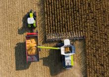 Kombájn kukoricafelszedők Claas 12-30c