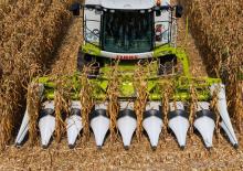 Kombájn kukoricafelszedők Claas Corio 1270 C