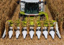 Kombájn kukoricafelszedők Claas Corio 570 C