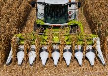 Kombájn kukoricafelszedők Claas Corio 575 C