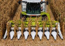 Kombájn kukoricafelszedők Claas Corio 670 FC