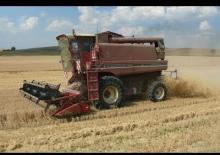 Kombájnok Case IH 1480
