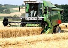 Kombájnok DEUTZ-FAHR 5445 H