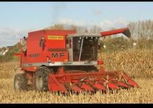 Kombájnok Massey Ferguson 8560 Rotary