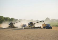 Kombájnok New Holland CX 8090 Elevation