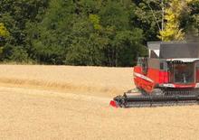 Kombájnok Massey Ferguson Delta 9280