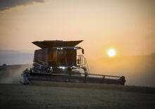 Kombájnok Massey Ferguson Ideal 8 PL