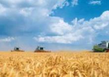 Kombájnok Claas Lexion 600 Terra-Trac