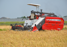Kombájnok Massey Ferguson MF 2168