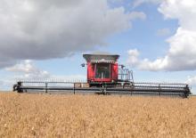 Kombájnok Massey Ferguson MF 9795
