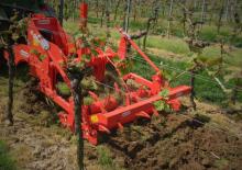 Kultivátorok Maschio Pinocchio 130/3