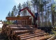 Rönkrakodó daruk Loglift 18Z OUT98