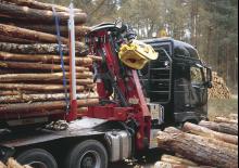 Rönkrakodó daruk Loglift F 265Z-DT