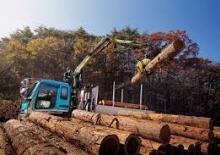 Rönkrakodó daruk Loglift F 61 FT 85