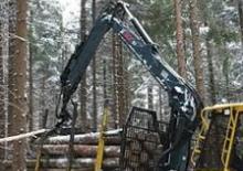 Rönkrakodó daruk Loglift F 91 FT 85