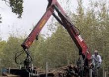 Rönkrakodó daruk Jonsered J 1320 Z