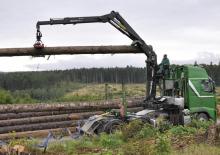 Rönkrakodó daruk Epsilon S 290 L 87 HPLS