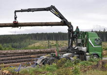 Rönkrakodó daruk Epsilon S 290 Z 96 HPLS